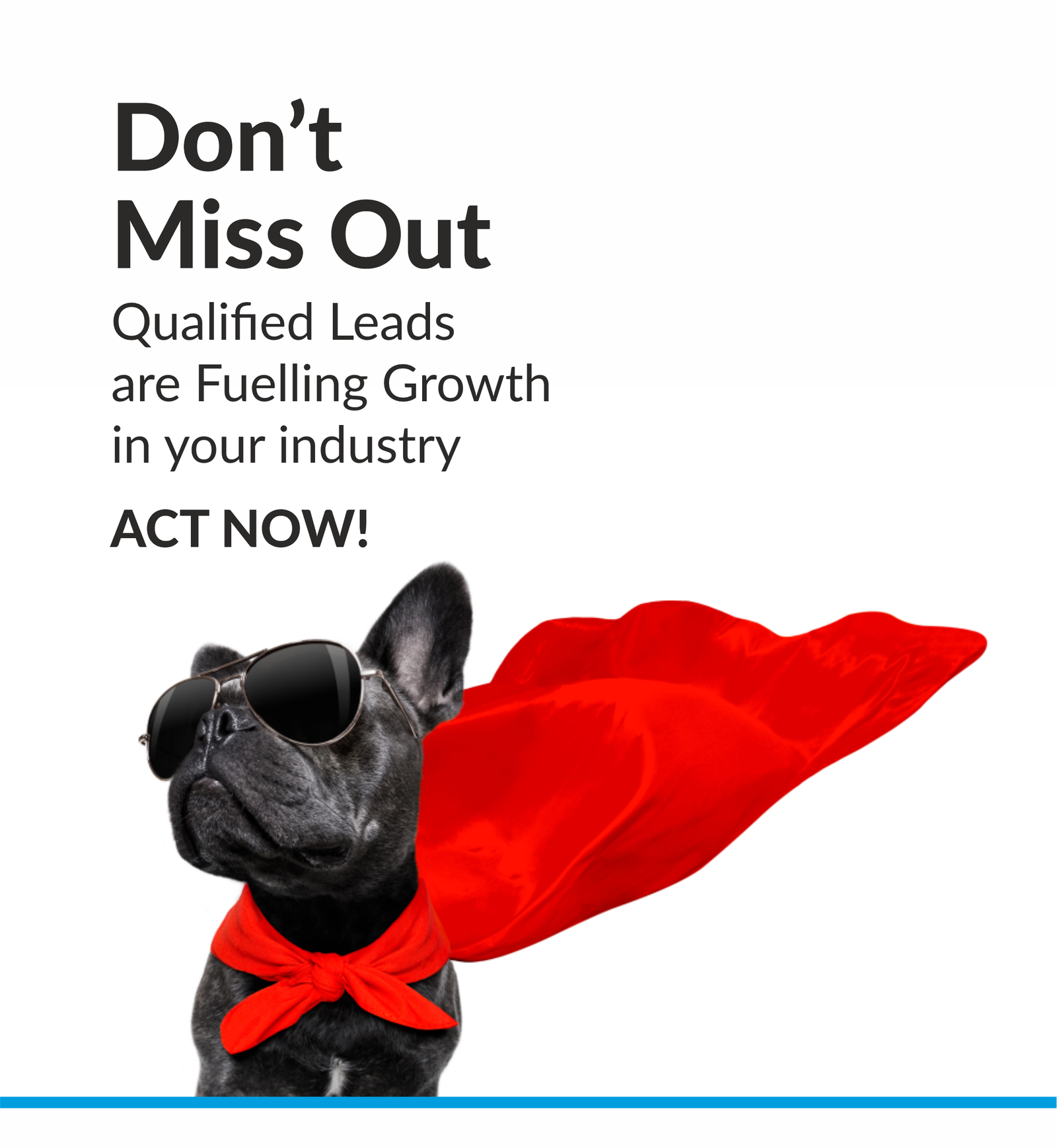 Superhero dog with red cape